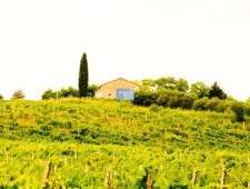 Готовый бизнес винодельный завод в Италии