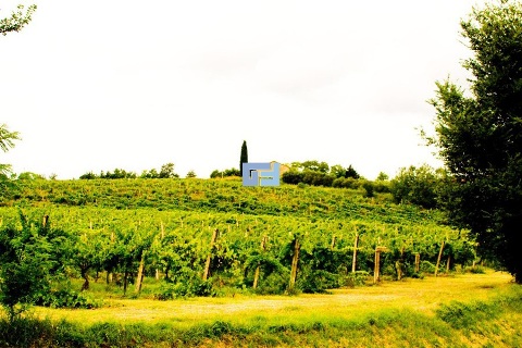 Винодельный завод продажа в Италии