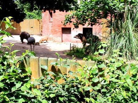 Зоопарк в Риме