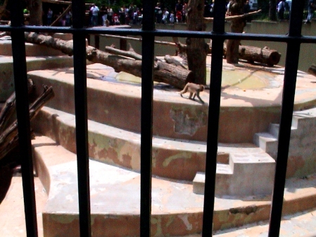 Рим зоопарк